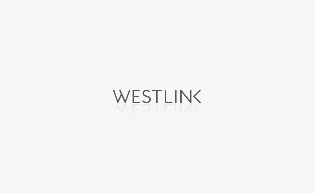 西遇 WESTLINK